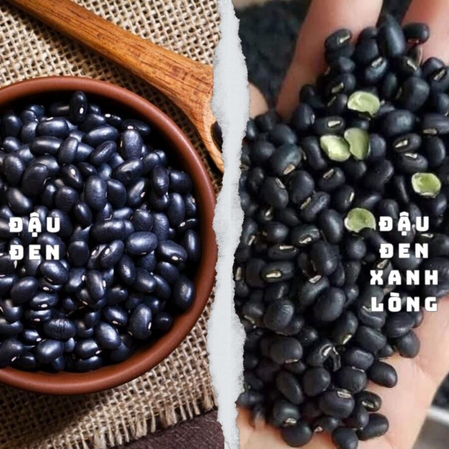 sự khác biệt giữa đậu đen và đậu đen xanh lòng