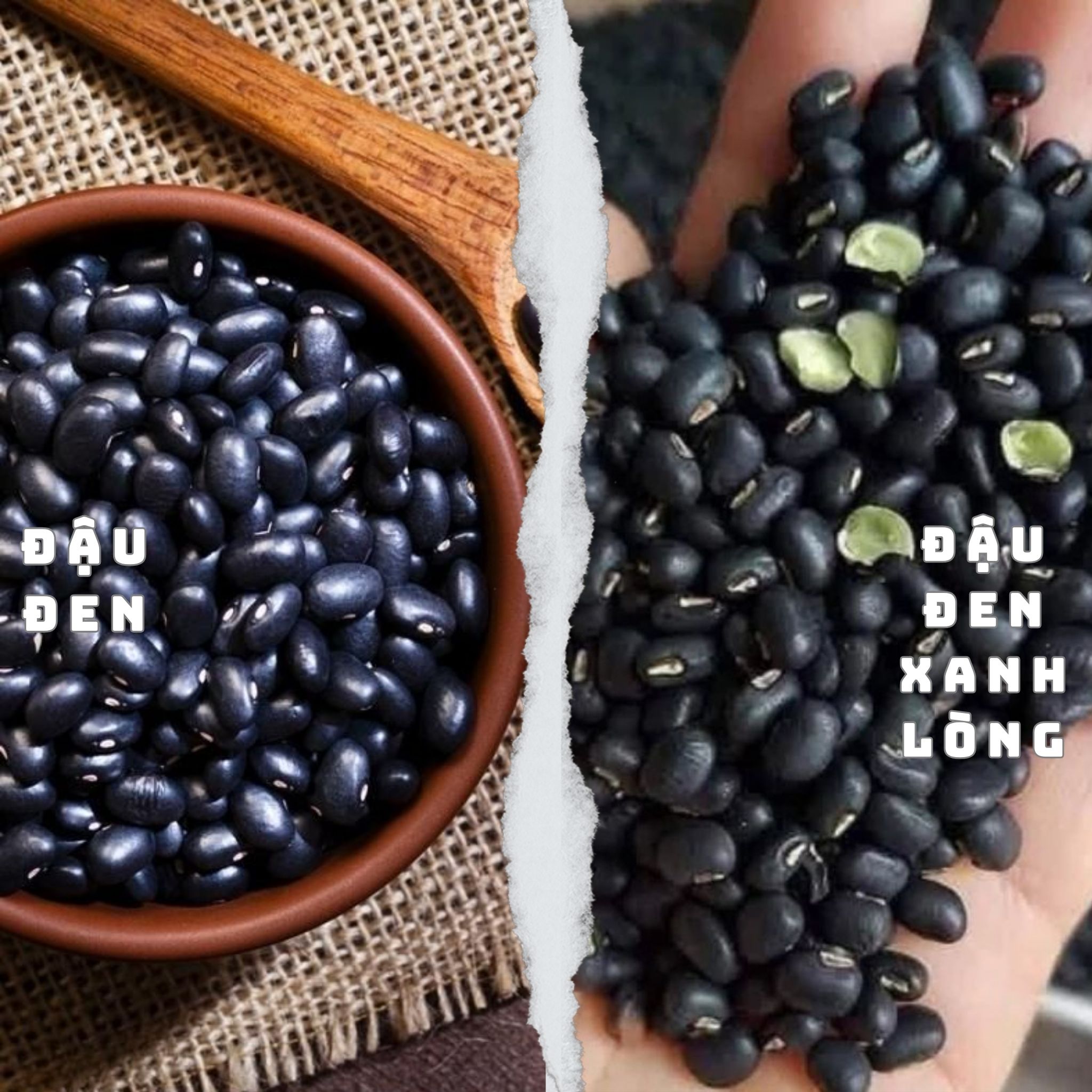 sự khác biệt giữa đậu đen và đậu đen xanh lòng
